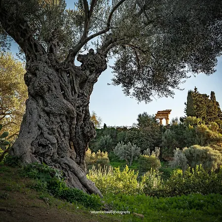 A Casuzza Du Centro Appartement Agrigente
